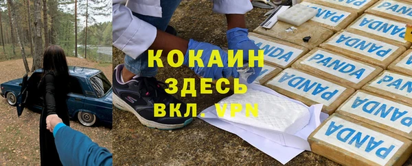 ГАЛЛЮЦИНОГЕННЫЕ ГРИБЫ Баксан