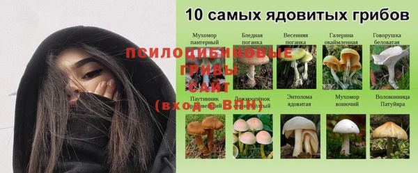ГАЛЛЮЦИНОГЕННЫЕ ГРИБЫ Баксан