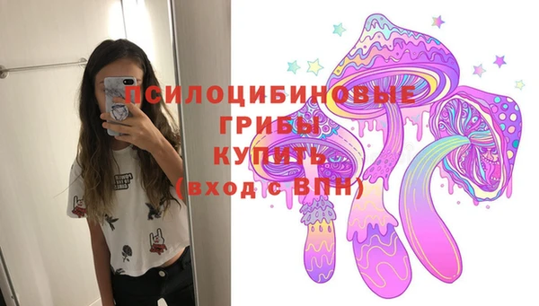 ГАЛЛЮЦИНОГЕННЫЕ ГРИБЫ Баксан