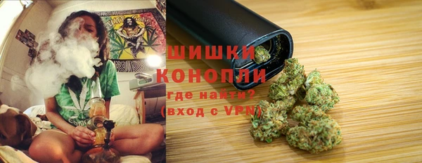 ГАЛЛЮЦИНОГЕННЫЕ ГРИБЫ Баксан