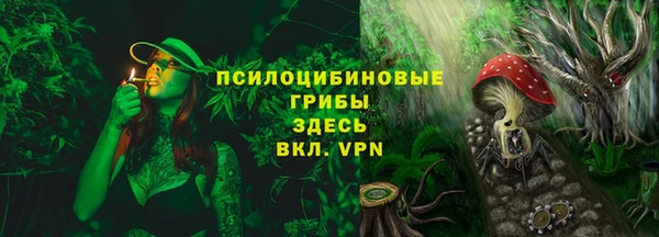 ГАЛЛЮЦИНОГЕННЫЕ ГРИБЫ Баксан